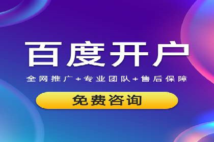 SEM服务公司成功案例解读